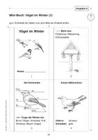 Vorschau - Mal- und Bastelvorlagen - Mini-Buch: Vögel im Winter (kostenloser Auszug aus Lesethron Bd. 1) - Seite 1
