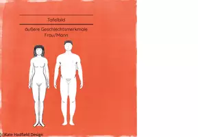 Vorschau - Stundenentwürfe - BUNDLE: Sexualkunde/Sexualerziehung - Seite 1