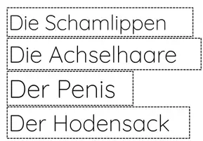 Vorschau - Stundenentwürfe - BUNDLE: Sexualkunde/Sexualerziehung - Seite 3
