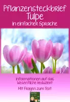 Vorschau - Arbeitsblätter - Pflanzensteckbrief Tulpe - einfache Sprache - Deckblatt