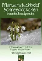 Vorschau - Arbeitsblätter - Sparpaket Steckbriefe Frühblüher - einfache Sprache - Seite 1