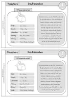 Vorschau - Arbeitsblätter - Haustiere - Mini-Heft - Das Kaninchen Klasse 2/3 - Seite 3