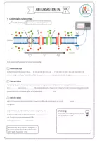 Vorschau - Arbeitsblätter - Aktionspotential - Arbeitsblatt (Abitur) - Seite 2