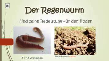 Vorschau - Arbeitsblätter - Regenwurm - Seite 1