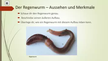 Vorschau - Arbeitsblätter - Regenwurm - Seite 3