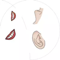 Vorschau - Spiele - Body - ®️Memory & Wörtersuchspiel - Seite 3