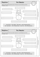 Vorschau - Unterrichtsreihen - Haustiere - Mini-Heft - Der Hamster Klasse 2/3 - Seite 2