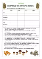 Vorschau - Spiele - Speisepilze - Logical für die Sekundarstufe - Deckblatt