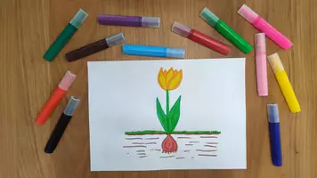 Vorschau - Videos - Frühblüher Lernvideo | Zeichne dich schlau - Seite 2