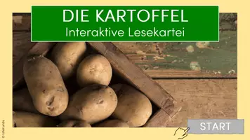 Vorschau - Interaktives Material - Die Kartoffel: Interaktive Lesekartei - Seite 1