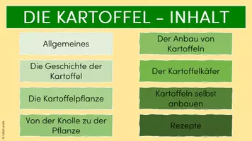 Vorschau - Interaktives Material - Die Kartoffel: Interaktive Lesekartei - Seite 3