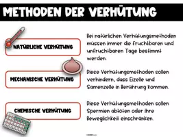 Vorschau - Stundenentwürfe - Verhütungsmittel - komplette Einheit - Seite 3