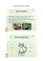 Vorschau - Merkblätter - Katze (Haustiere) - Infokarten - Seite 3