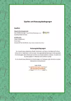 Vorschau - Arbeitsblätter - Katze (Haustiere) - Arbeitsblätter - Seite 2