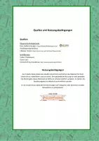Vorschau - Aufgabenkarten - Katze (Haustiere) - Forscherfragen *KOSTENLOS* - Seite 2