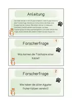 Vorschau - Aufgabenkarten - Katze (Haustiere) - Forscherfragen *KOSTENLOS* - Seite 3