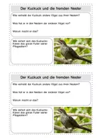 Vorschau - Arbeitsblätter - Forscherheft "Frühling" - Material zum kostenlosen Magazin der Naturdetektive (Kinatschu), #TimeForClimateAction - Seite 2