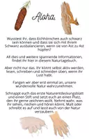 Vorschau - Mal- und Bastelvorlagen - Eichhörnchen Naturtagebuch - Seite 1