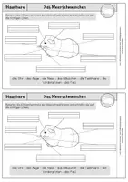 Vorschau - Arbeitsblätter - Haustiere - Mini Heft- Das Meerschweinchen Klasse 2/3 - Seite 2