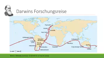 Vorschau - Stundenentwürfe - Evolution Q1/Q2 - Erarbeitung der adaptiven Radiation im Mystery - Seite 2