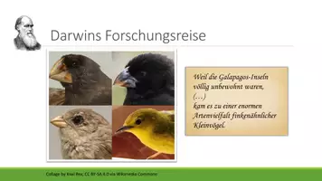 Vorschau - Stundenentwürfe - Evolution Q1/Q2 - Erarbeitung der adaptiven Radiation im Mystery - Seite 3
