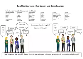 Vorschau - Arbeitsblätter - Kompetenzraster zum Buch Cornelsen "Natur und Technik" BW Klasse 5/6 BNT - Seite 1