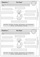 Vorschau - Arbeitsblätter - Haustiere - Mini-Heft - Der Hund Klasse 2/3 - Seite 2