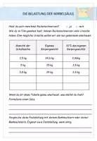 Vorschau - Arbeitsblätter - Biologie: Der Mensch - Belastung der Wirbelsäule - Seite 2