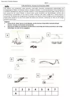 Vorschau - Arbeitsblätter - Neue Musik, Grafische Notation: "Stripsody" - Seite 1