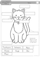 Vorschau - Arbeitsblätter - Katzen differenzierte Arbeitsblätter und Tafelmaterial Klasse1 und 2 - Seite 2