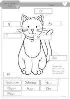 Vorschau - Arbeitsblätter - Katzen differenzierte Arbeitsblätter und Tafelmaterial Klasse1 und 2 - Seite 3