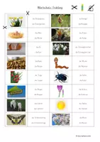 Vorschau - Arbeitsblätter - DaZ-Material zum Wortschatz: "Frühling" - Deckblatt
