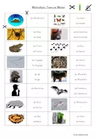 Vorschau - Spiele - DaZ-Material zum Wortschatz: "Tiere im Winter" - Deckblatt