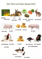 Vorschau - Poster - Die Tiere auf dem Bauernhof - Poster - Deckblatt