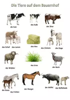 Vorschau - Poster - Die Tiere auf dem Bauernhof - Poster - Seite 1