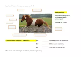 Vorschau - Arbeitsblätter - Arbeitsblatt und Tafelbild "Mit welchen Körperteilen kommuniziert mein Pferd" - Deckblatt