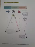 Vorschau - Arbeitsblätter - Arbeitsblatt "Richtig Longieren" - Seite 3