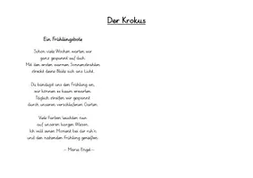 Vorschau - Mal- und Bastelvorlagen - FREEBIE Krokusse basteln und Gedicht, Frühling - Seite 2