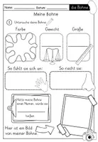 Vorschau - Arbeitsblätter - Die Bohne - Komplettpaket inklusive Bohnentagebuch, Lernwerkstatt und Bildkarten - Seite 3