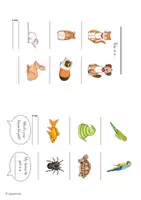 Vorschau - Arbeitsblätter - "Pets": Picture Dictionary & Bild-und Wortkarten - Seite 3