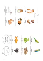 Vorschau - Arbeitsblätter - Picture Dictionary "Pets" - Bilderwörterbuch - Seite 3