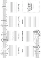 Vorschau - Arbeitsblätter - Buddybook Transportmechanismen - Seite 3