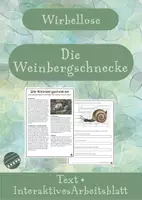Vorschau - Arbeitsblätter - Die Weinbergschnecke - interaktiv - Deckblatt