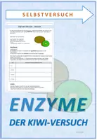 Vorschau - Arbeitsblätter - Biologie: Enzyme - Kiwi-Versuch - Deckblatt
