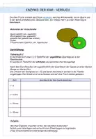 Vorschau - Arbeitsblätter - Biologie: Enzyme - Kiwi-Versuch - Seite 3