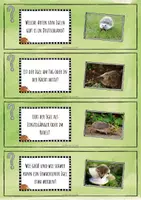 Vorschau - Aufgabenkarten - Der Igel - Forscherfragen - Seite 3