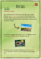 Vorschau - Unterrichtsreihen - Der Igel - Lebensraum Garten - Lernwerkstatt - Seite 1