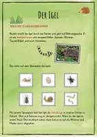 Vorschau - Unterrichtsreihen - Der Igel - Lebensraum Garten - Lernwerkstatt - Seite 2