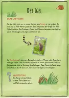 Vorschau - Unterrichtsreihen - Der Igel - Lebensraum Garten - Lernwerkstatt - Seite 3