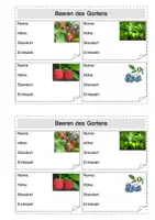 Vorschau - Arbeitsblätter - Forscher-Heft "Garten" zur kostenlosen Gartenfibel vom Bmel, #TimeForClimateAction - Seite 2